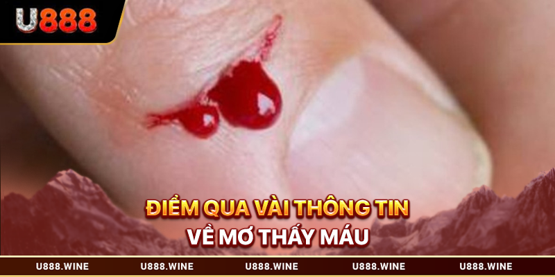 Mơ Thấy Máu - Ý Nghĩa Hình Ảnh Và Cách Chốt Số May Mắn 2026 Điểm qua vài thông tin về mơ thấy máu